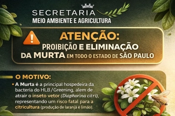 ATENÇÃO!!Proibição da Murta em todo o estado de São Paulo!!